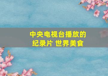 中央电视台播放的纪录片 世界美食